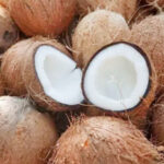 ಹೆಜಮಾಡಿ : ಹೆಜಮಾಡಿ ಯುವತಿ ವೃಂದದ ನೂತನ ಅಧ್ಯಕ್ಷರಾಗಿ ಶ್ರೀಮತಿ ರೂಪಾ ಹೇಮಾನಂದ ಪುತ್ರನ್ ಆಯ್ಕೆ(Hejamadi: Smt Roopa H Puthran as President of Karavali Yuvathi Vrunda)
