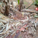  ಸೌತ್‌ ಕೆನರಾ ಫೊಟೊಗ್ರಾಫರ್ಸ್‌ ಅಸೋಸಿಯೇಶನ್‌ : ಉಡುಪಿ ವಲಯ ಪದಗ್ರಹಣ  Udupi SKPA Udupi Zone Oath Taking)