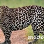 ಮುದರಂಗಡಿ ಜನನಿ ಮಹಾಸಂಘದ ಆಯೋಜನೆಯಲ್ಲಿಅಪ್ಪಂದಿರ ದಿನ ಆಚರಣೆ (Father’s Day celebration organized by Mudarangadi Janani Maha sangh)
