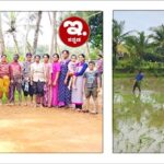ನಮ್ಮ ಕರ್ನಾಟಕ ಸೇನೆ ಉಡುಪಿ ಜಿಲ್ಲಾ ಘಟಕದ  ಮಹಿಳಾ ಘಟಕಕ್ಕೆ ನೂತನ ಪದಾಧಿಕಾರಿಗಳ ನೇಮಕ  (New office bearers appointed for the women’s unit of Namma Karnataka Sene Udupi district unit)