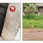   ಧರ್ಮಸ್ಥಳ ಗ್ರಾ. ಯೋಜನೆ : ರಾಜ್ಯಮಟ್ಟದಲ್ಲಿ ಕಾಪು ಯೋಜನಾ ಕಚೇರಿಗೆ ದ್ವಿತೀಯ ಸ್ಥಾನ (Sri Kshetra Dharmasthala Rural Development Project: Kaup Project Office ranks second at the state level)
